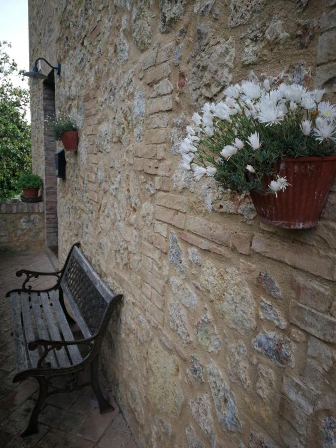 Ferienwohnung CAMPAGNA - GIARDINO 10 min da Siena Malignano Exterior foto