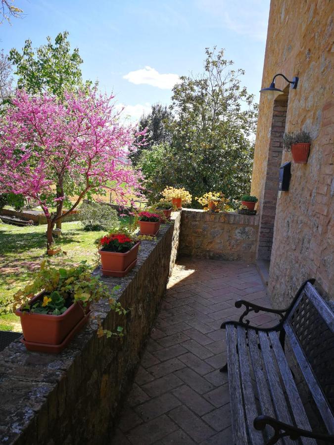 Ferienwohnung CAMPAGNA - GIARDINO 10 min da Siena Malignano Exterior foto