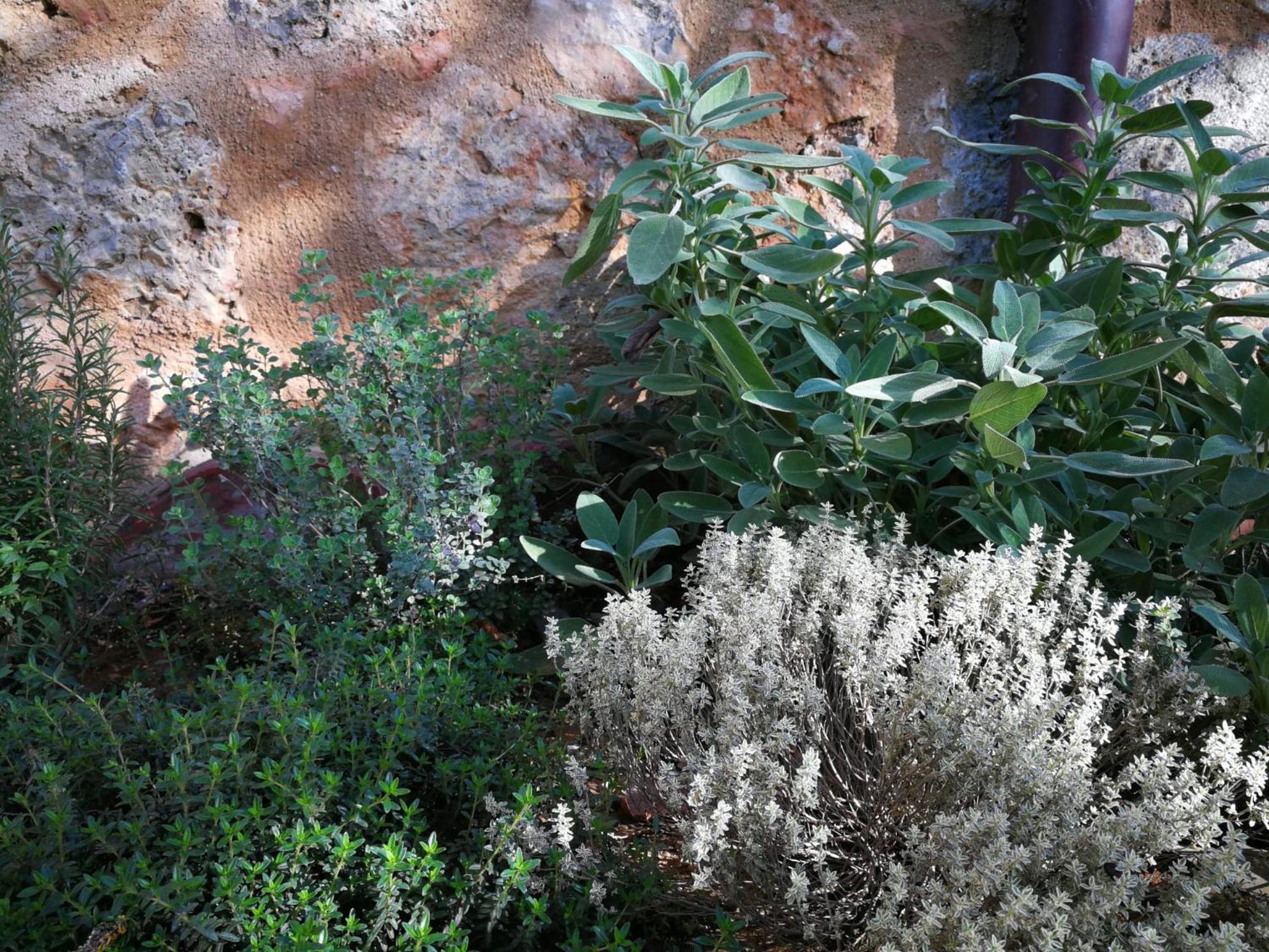 Ferienwohnung CAMPAGNA - GIARDINO 10 min da Siena Malignano Exterior foto