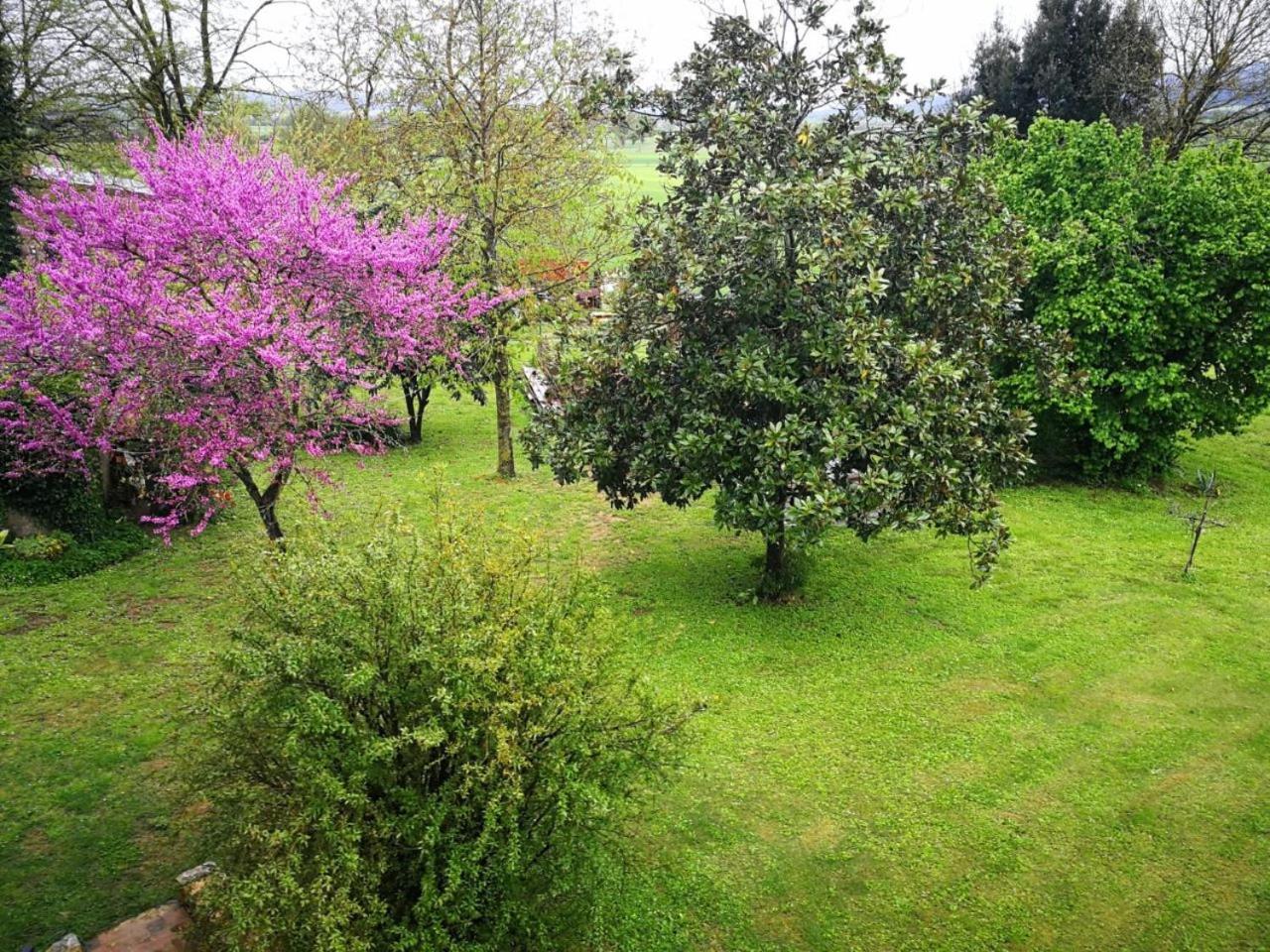 Ferienwohnung CAMPAGNA - GIARDINO 10 min da Siena Malignano Exterior foto