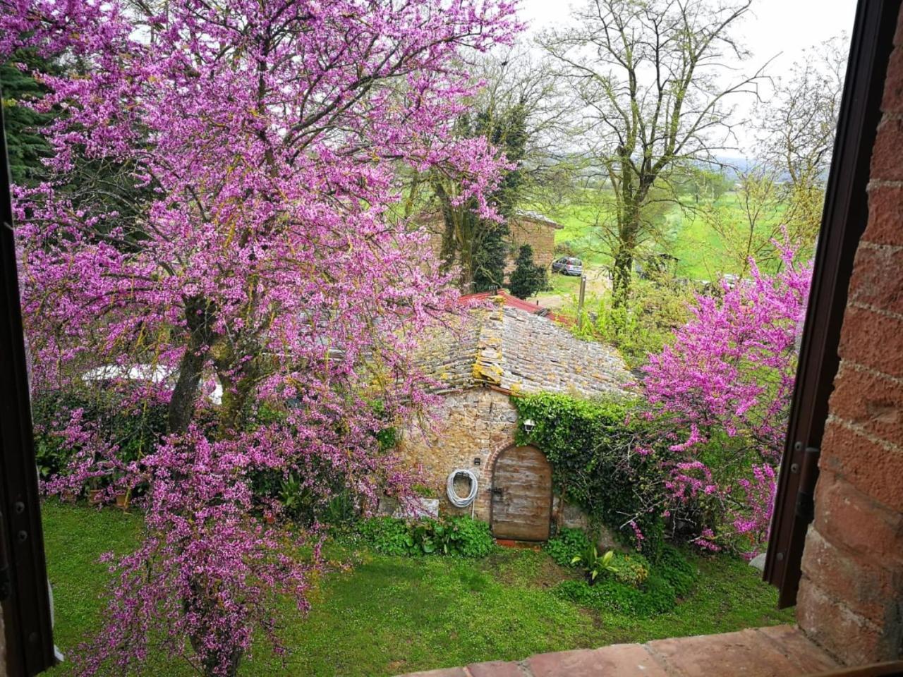 Ferienwohnung CAMPAGNA - GIARDINO 10 min da Siena Malignano Exterior foto