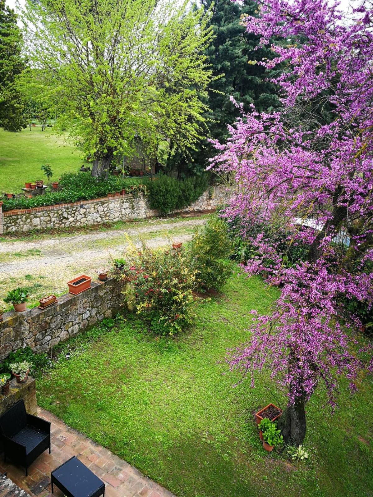 Ferienwohnung CAMPAGNA - GIARDINO 10 min da Siena Malignano Exterior foto