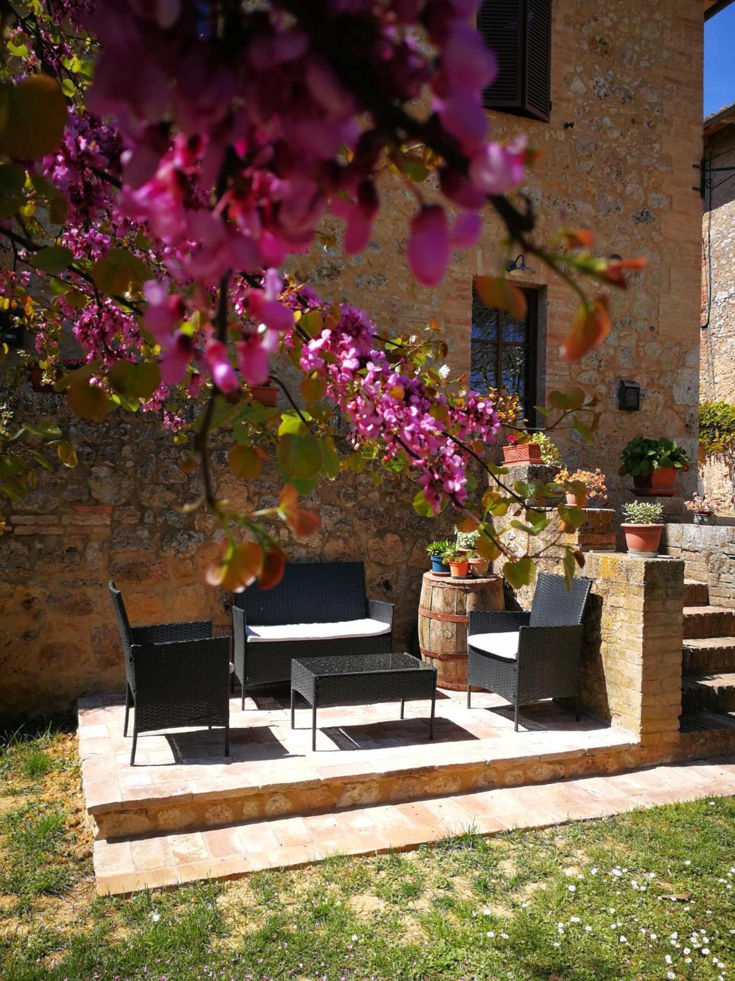 Ferienwohnung CAMPAGNA - GIARDINO 10 min da Siena Malignano Exterior foto
